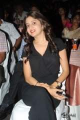 365 Days Movie Audio Launch